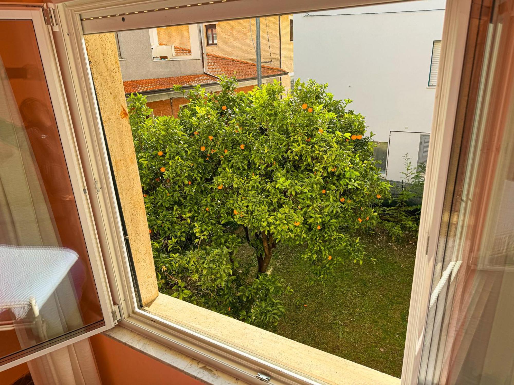 Bel Fiore San Benedetto del Tronto Exteriör bild
